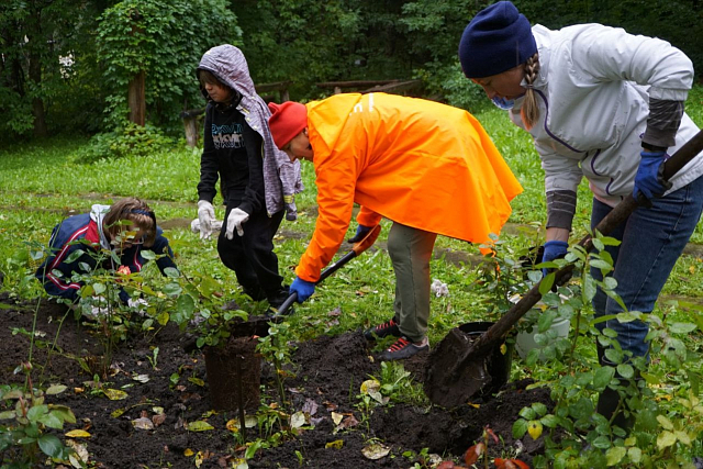Дендрарий 2:0