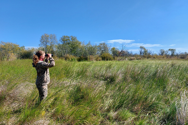 В поисках чегравы
