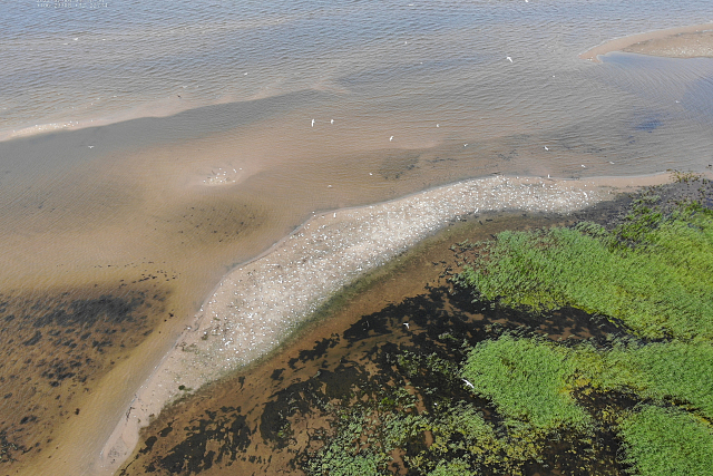 В поисках чегравы