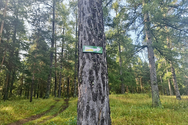 Экотропа «Кошкуль» 