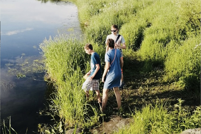 Биоразнообразие и экологические свойства золотистых водорослей планктона озера Тургояк и дериватов в связи с качеством воды