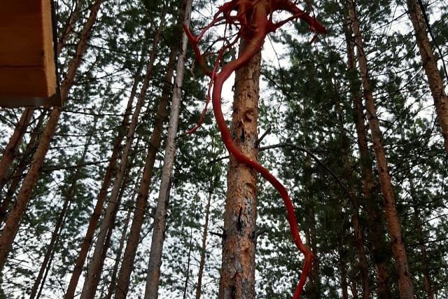 Экотропа «Озерная»