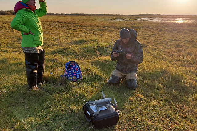 В поисках чегравы