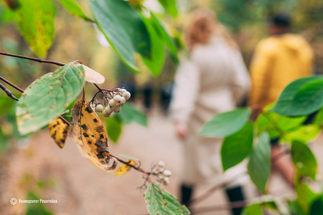 В Красноярске завершился проект экотропы «Караульная»