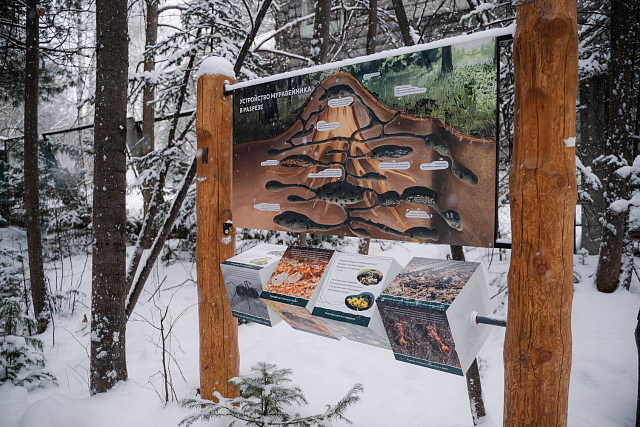 Дивногорцы посетили открытие обновленного пространства дендросада 