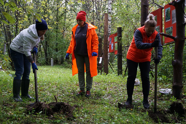 Высадка именных деревьев, экопленер и литературные гостинные проходят в дивногорском дендрарии 
