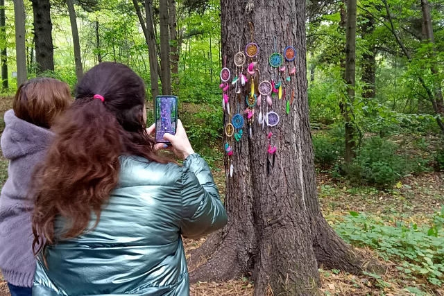 Высадка именных деревьев, экопленер и литературные гостинные проходят в дивногорском дендрарии 