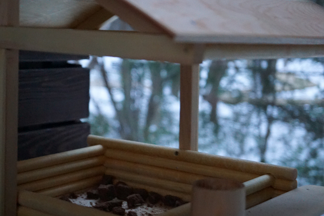 Дендросад в Дивногорске запустил акцию по созданию кормушек для птиц