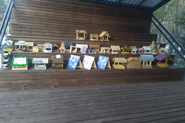 Дендросад в Дивногорске запустил акцию по созданию кормушек для птиц