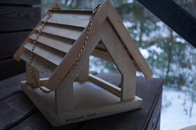 Дендросад в Дивногорске запустил акцию по созданию кормушек для птиц