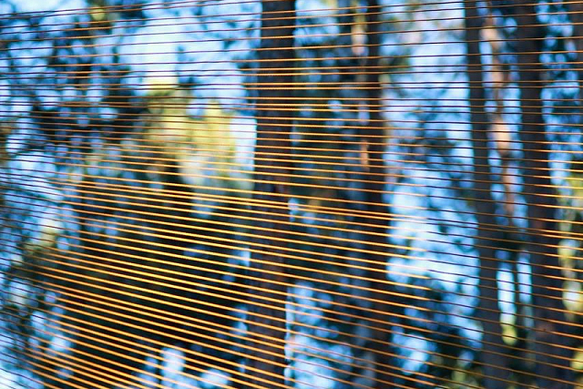 В арт-парке «Радуга» прошел керамокемп с мастерами из разных уголкой России