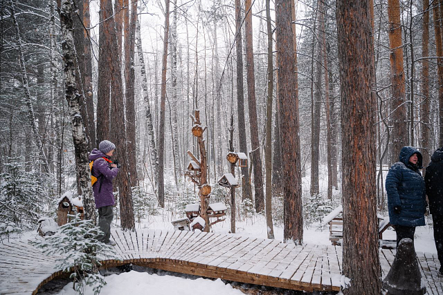 Дивногорцы посетили открытие обновленного пространства дендросада 