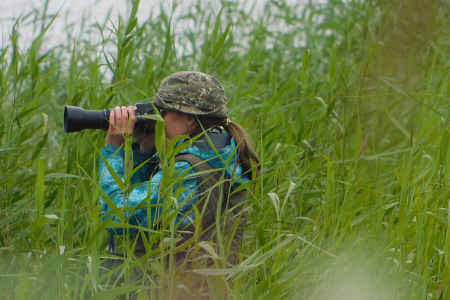 В поисках чегравы