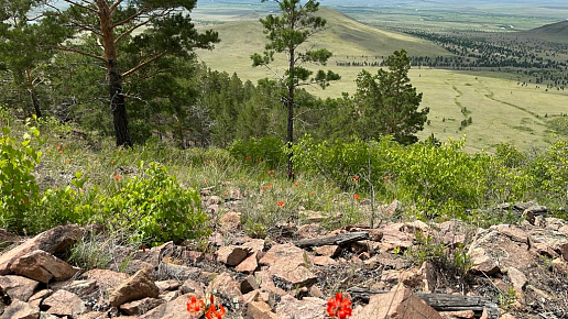Экологическая пешеходная тропа «Дорога любви Бортэ»