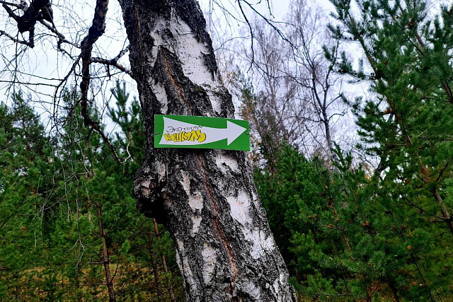 Общественное пространство «ЭКОточка»
