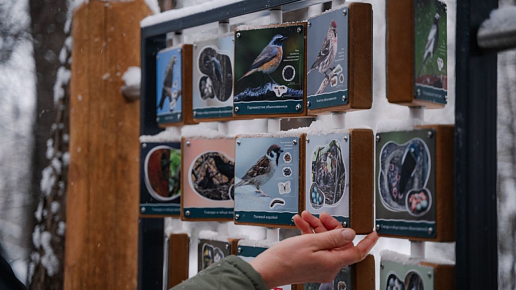 Дендрарий 2:0