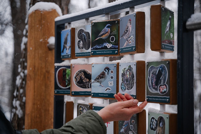 Дендрарий 2:0