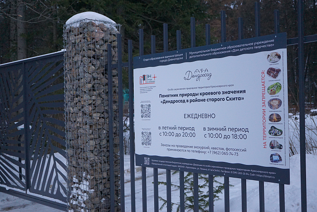 Дендросад в Дивногорске запустил акцию по созданию кормушек для птиц