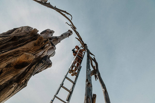 Арт-парк на Байкале живет: летний фестиваль объединил художников со всей России