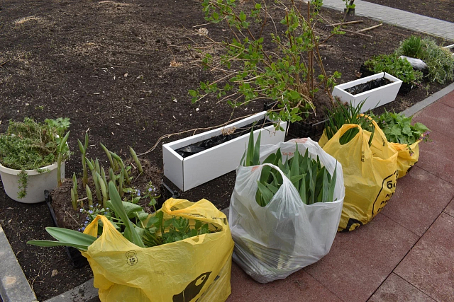 «Литературный субботник» прошел в Нижнем Новгороде