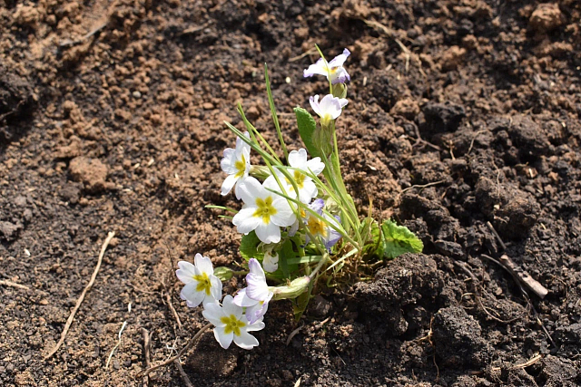 «Литературный субботник» прошел в Нижнем Новгороде